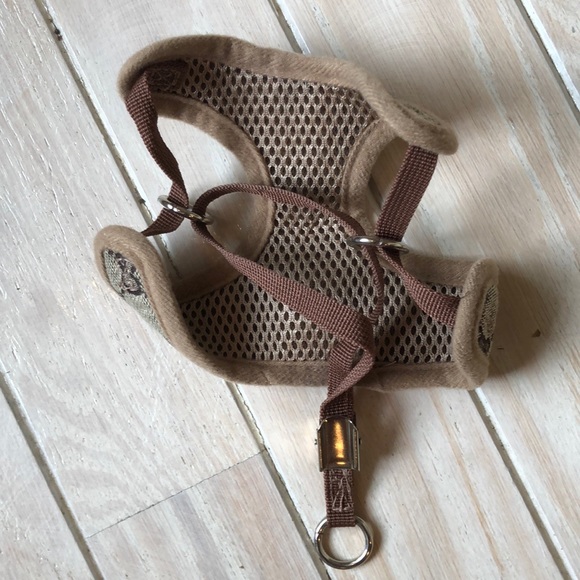 Extra Small Dog Harness and Leash set - Picture 5 of 16